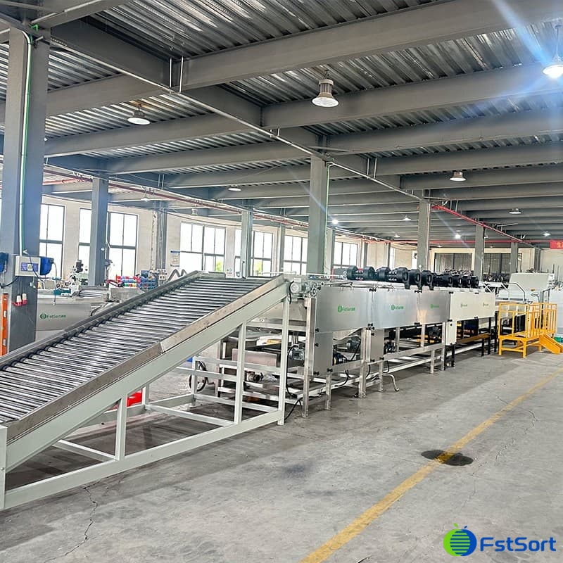 fruit washing drying waxing sorting machine.jpg fruit washing drying waxing sorting machine.jpg